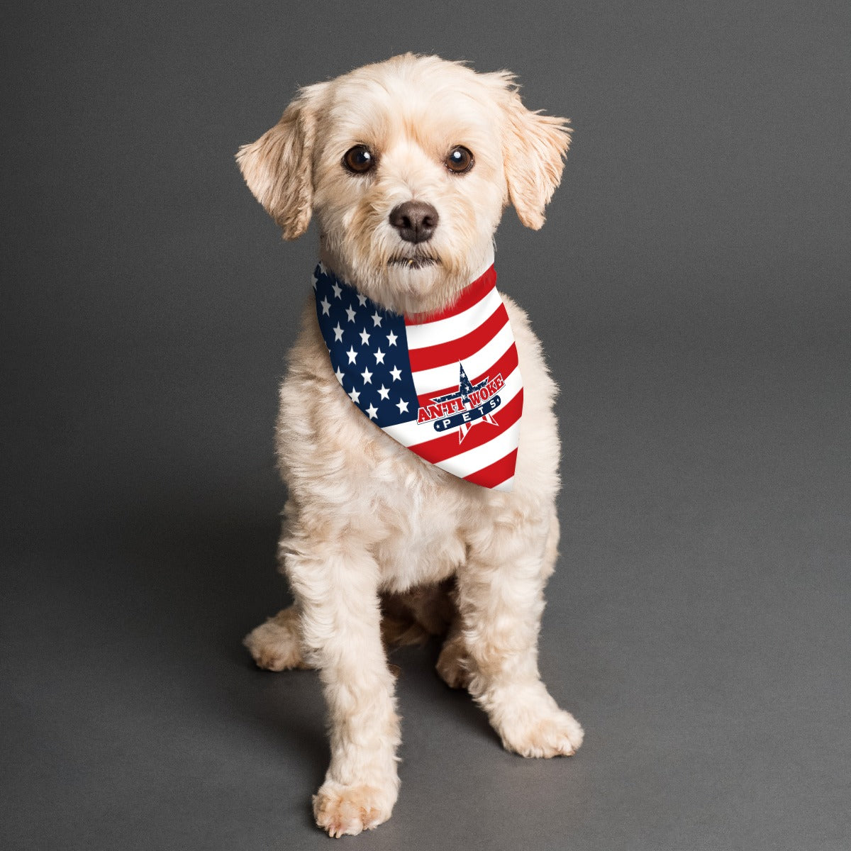 Scarf- USA Flag- AWP Pet's Scarf