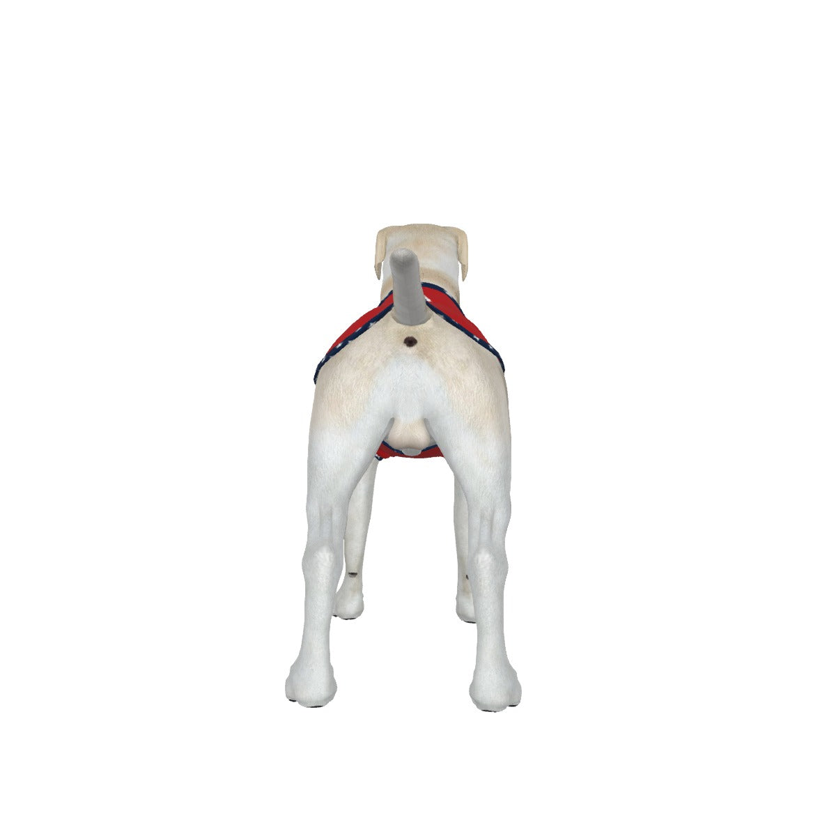 Anti Woke Star- Red- Big Dog's Tank top