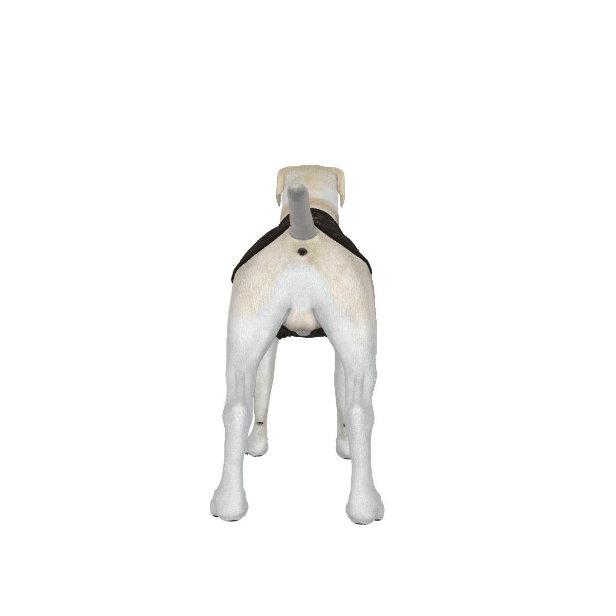 Pug- Gun Pattern Medium- My Owner Is Armed- Star Flag- Anti Woke Pets - Big Dog's Tank Top