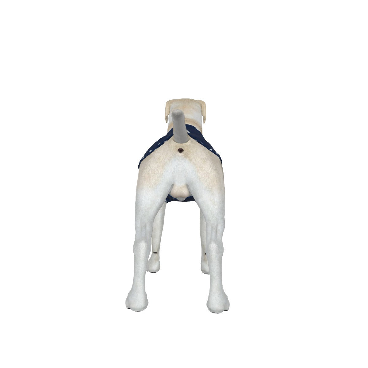 Anti Woke Star- Blue- Big Dog's Tank Top