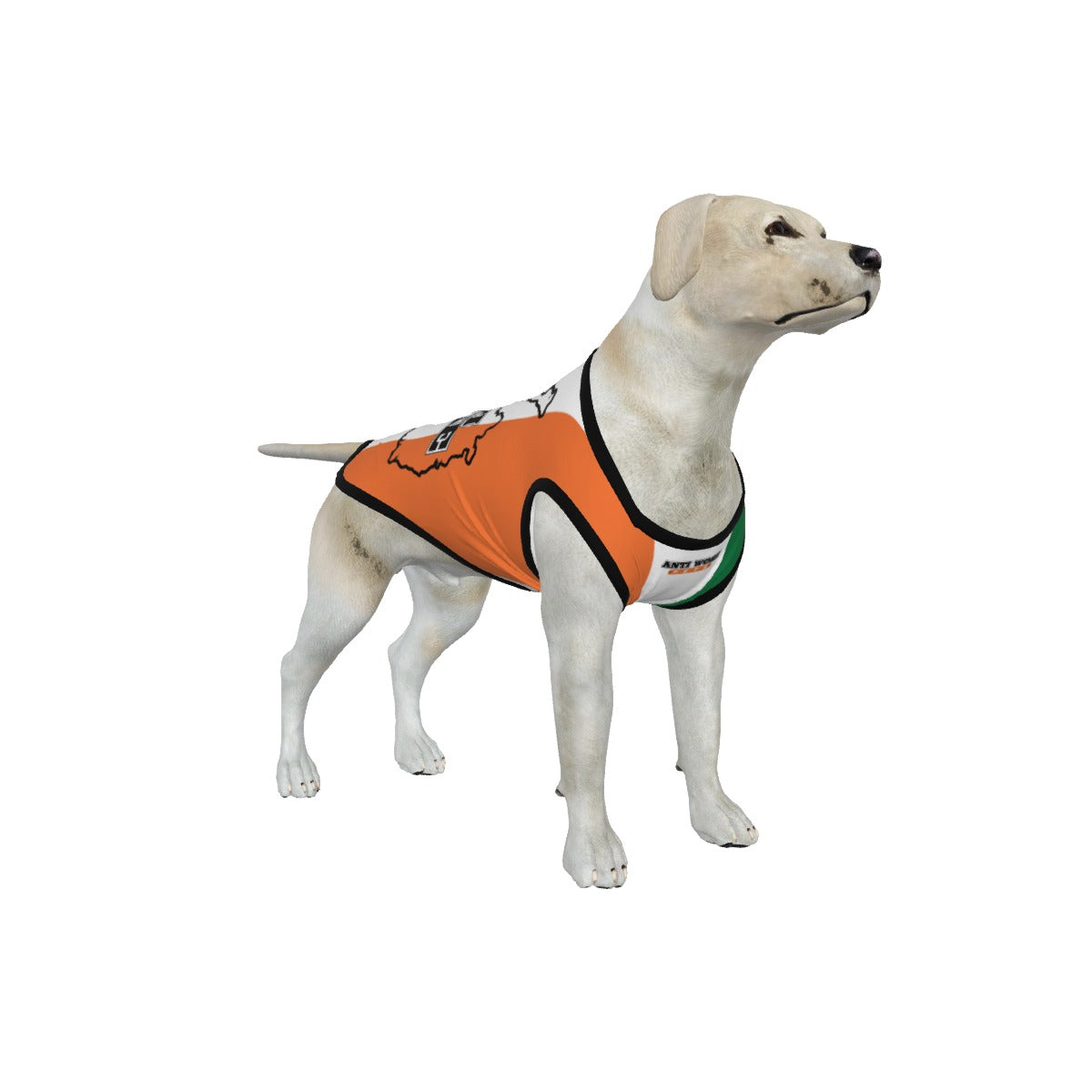 Ireland Flag/ map-Anti Woke- Big Dog's Tank top