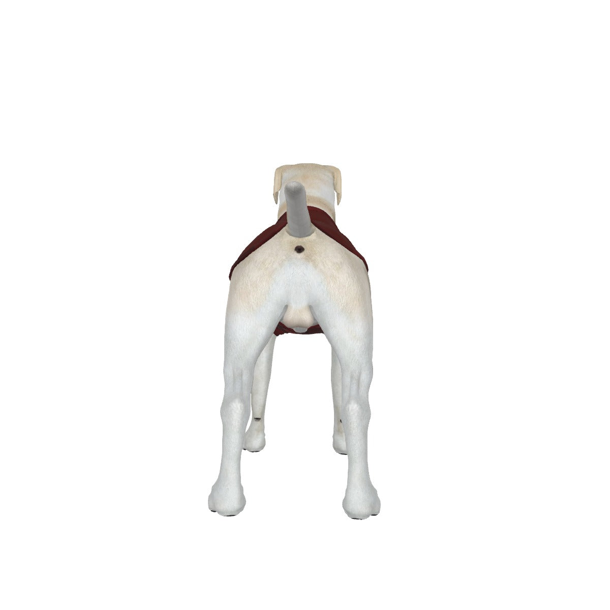 Beagle W 2 Pistols- My Owner Is Armed- Red Camo- Anti Woke Pets Big Tank Top