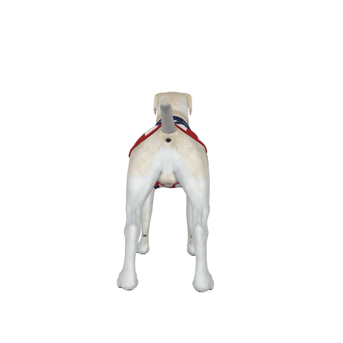 USA- Anti Woke Pets- Full Flag - Big Dog's Tank Top