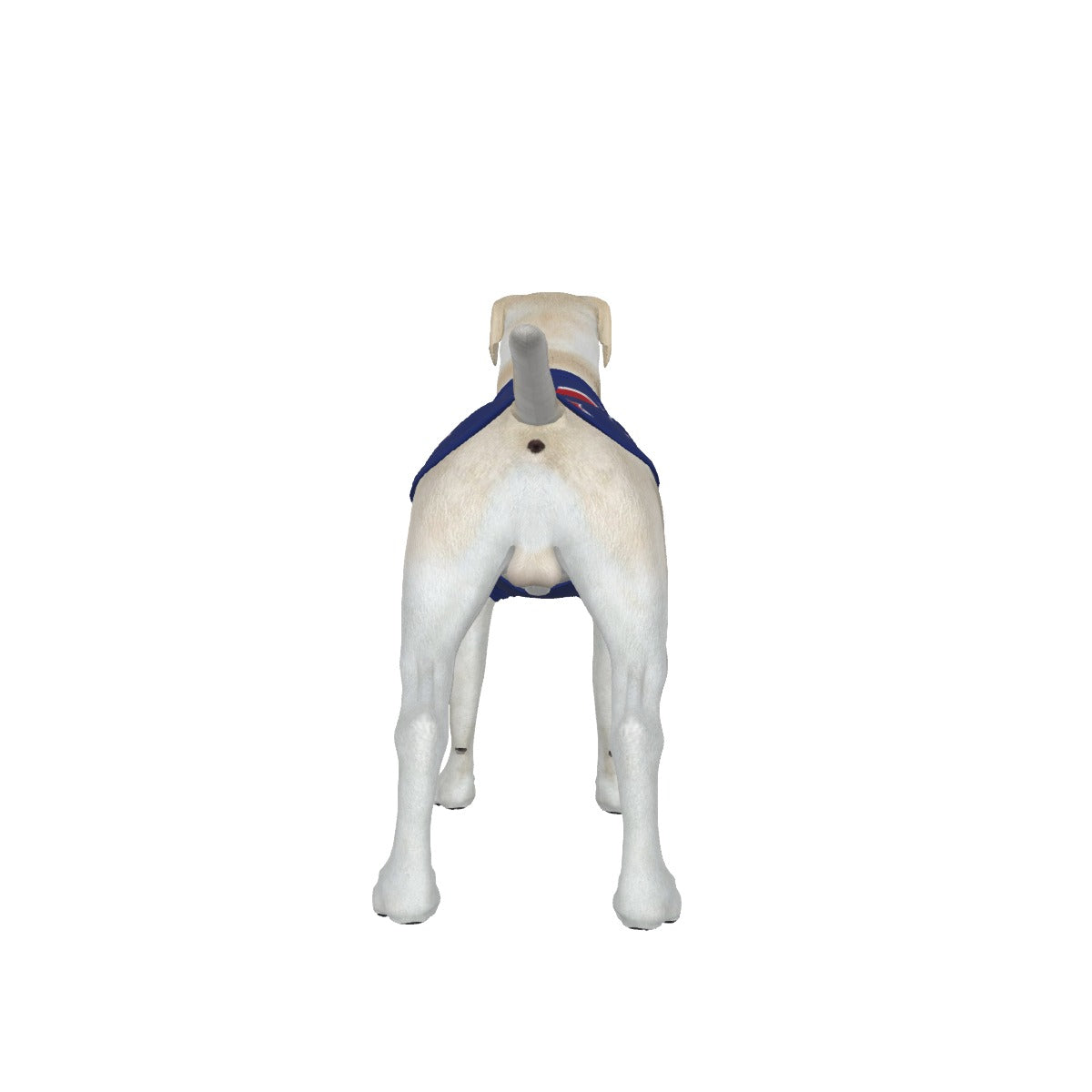 NZ- Anti Woke Pets - Big Dog's Tank Top