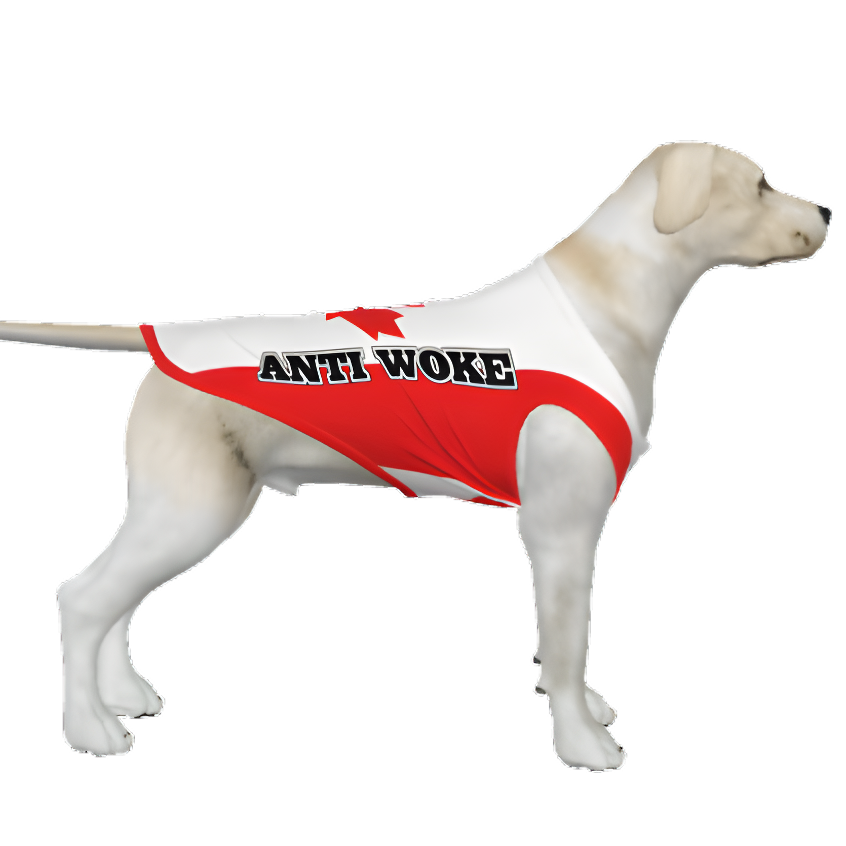 CAN- Anti Woke Pets - Big Dog's Tank Top