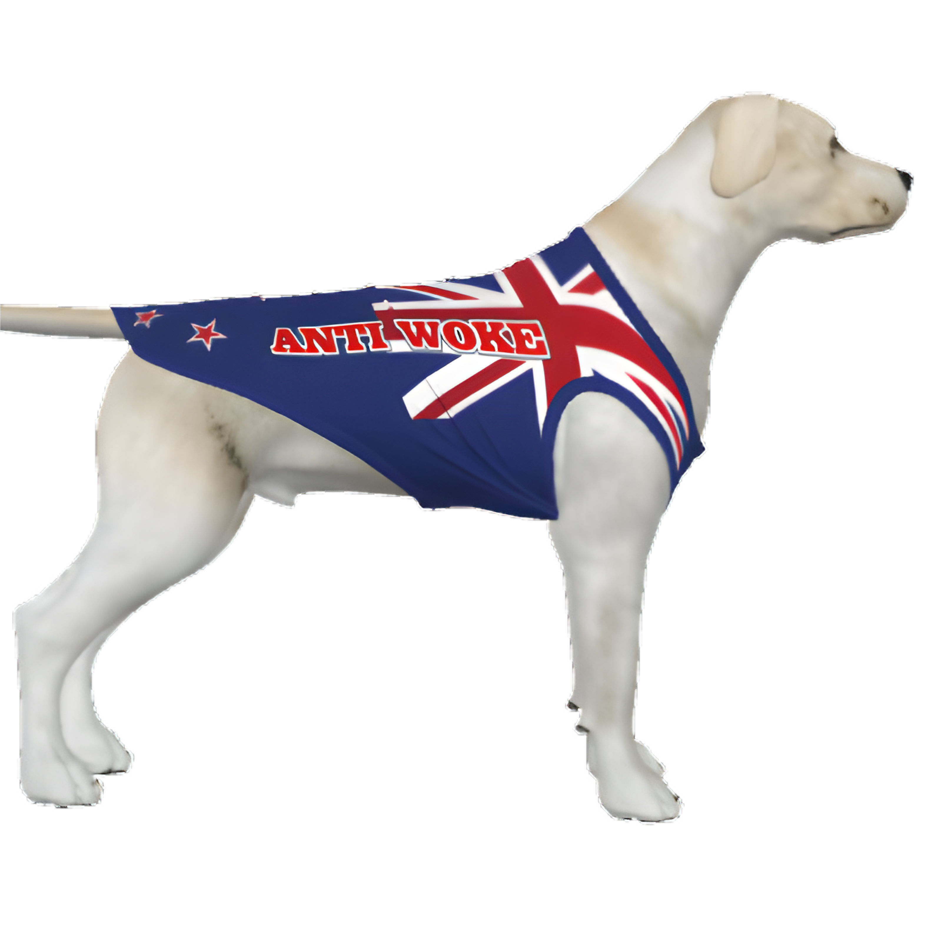 NZ- Anti Woke Pets - Big Dog's Tank Top