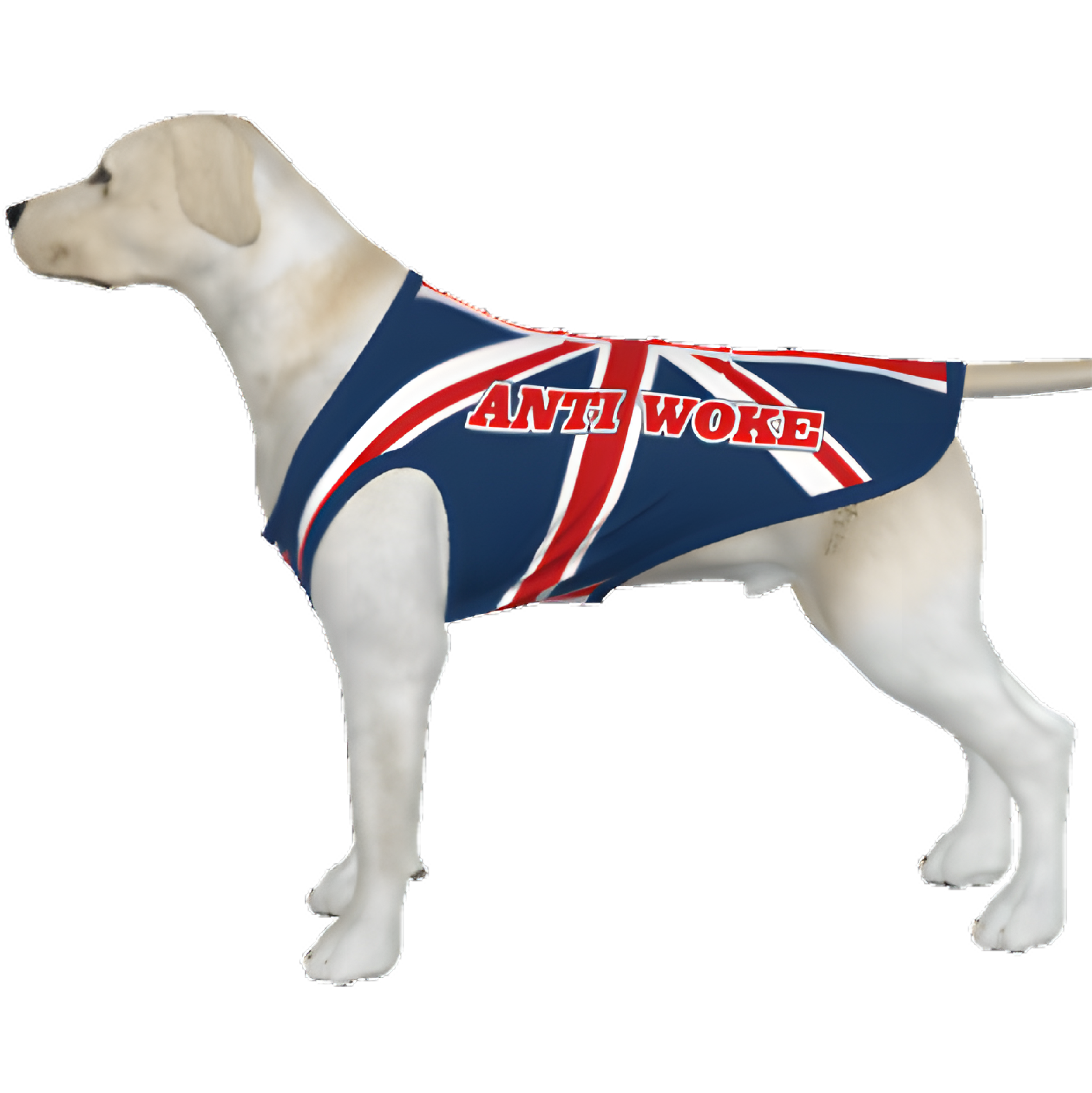 UK- Anti Woke Pets - Big Dog's Tank Top