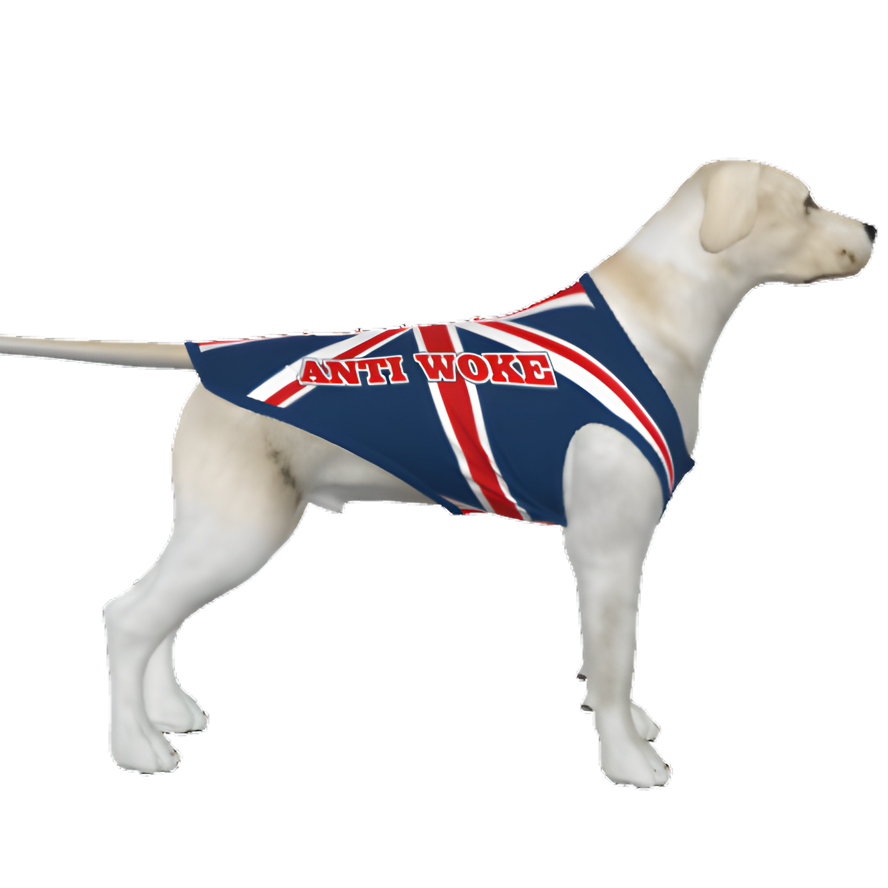 UK- Anti Woke Pets - Big Dog's Tank Top