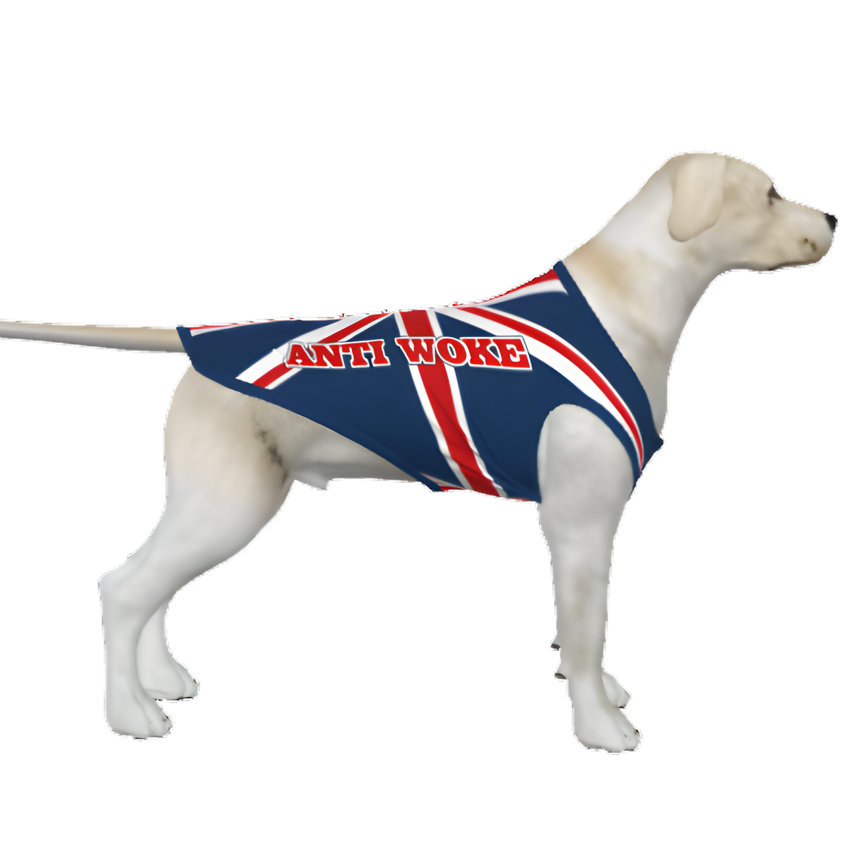 UK- Anti Woke Pets - Big Dog's Tank Top
