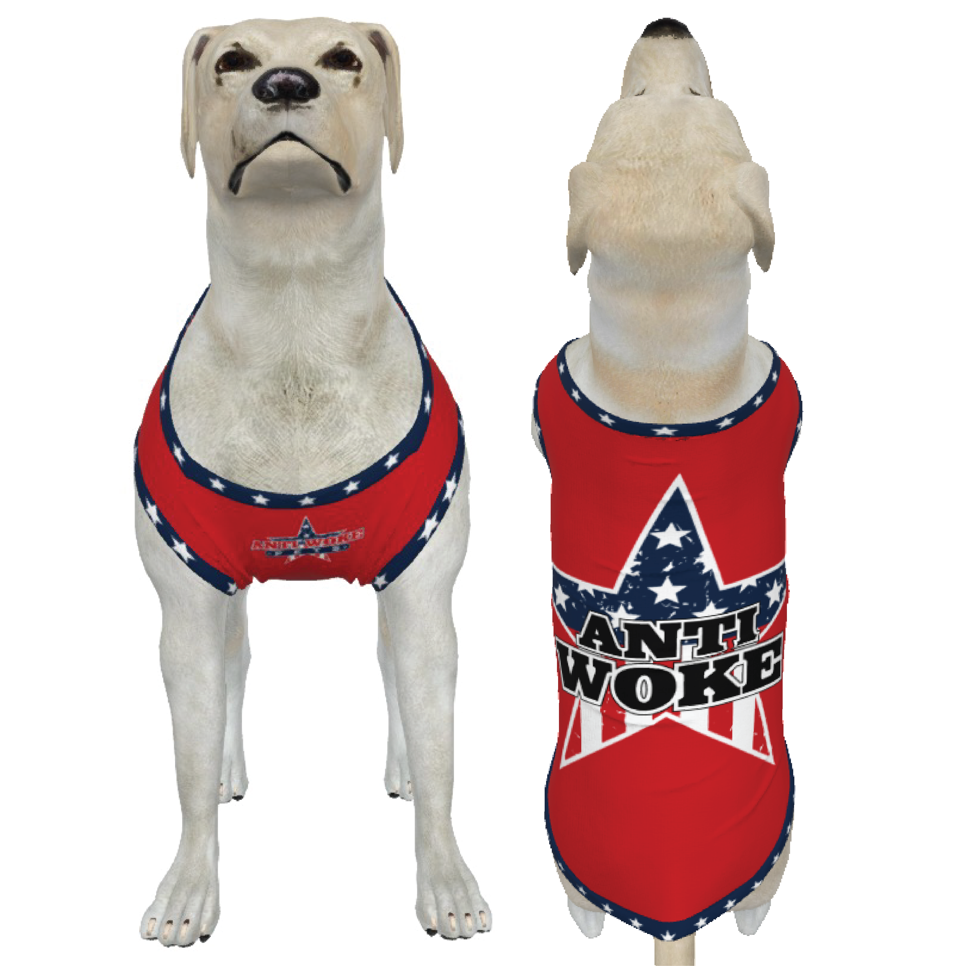 Anti Woke Star- Red- Big Dog's Tank top