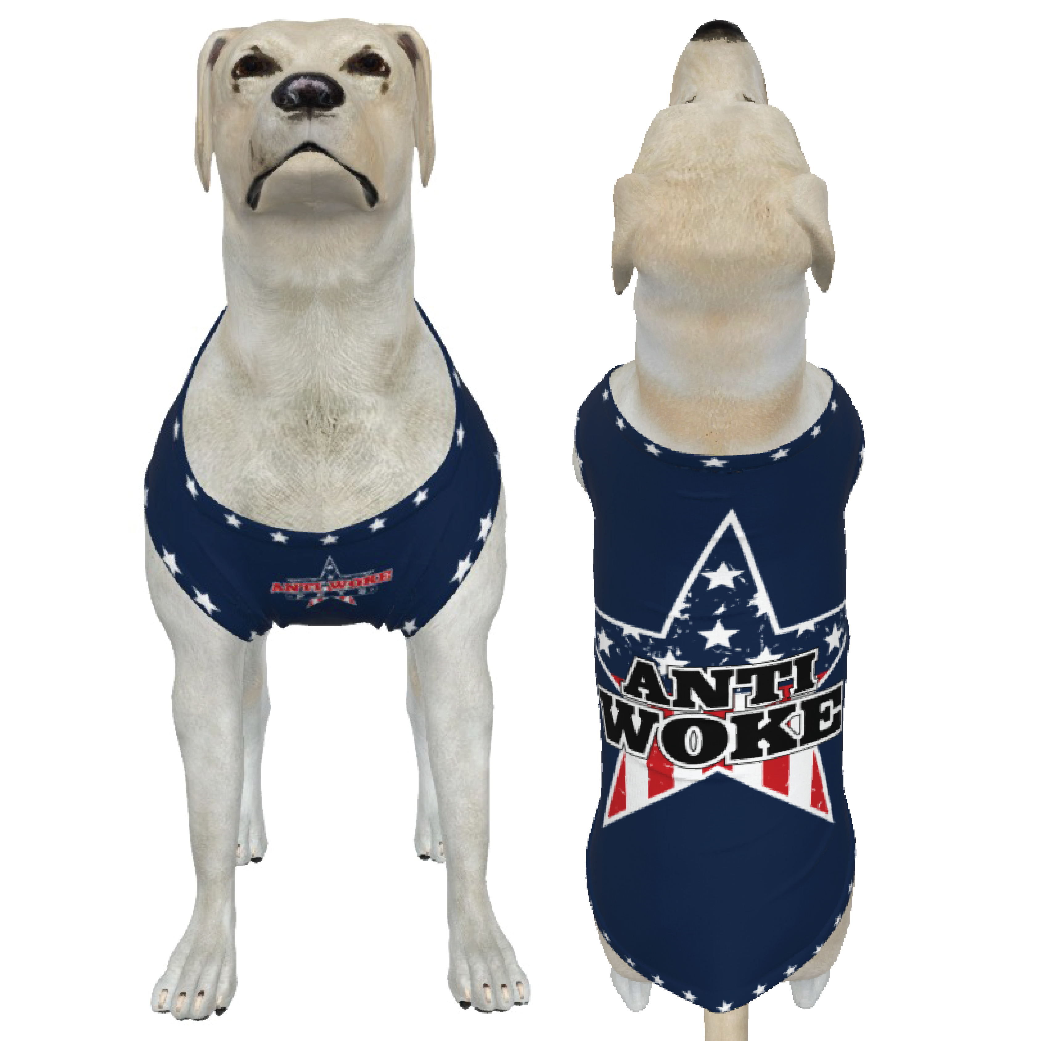 Anti Woke Star- Blue- Big Dog's Tank Top