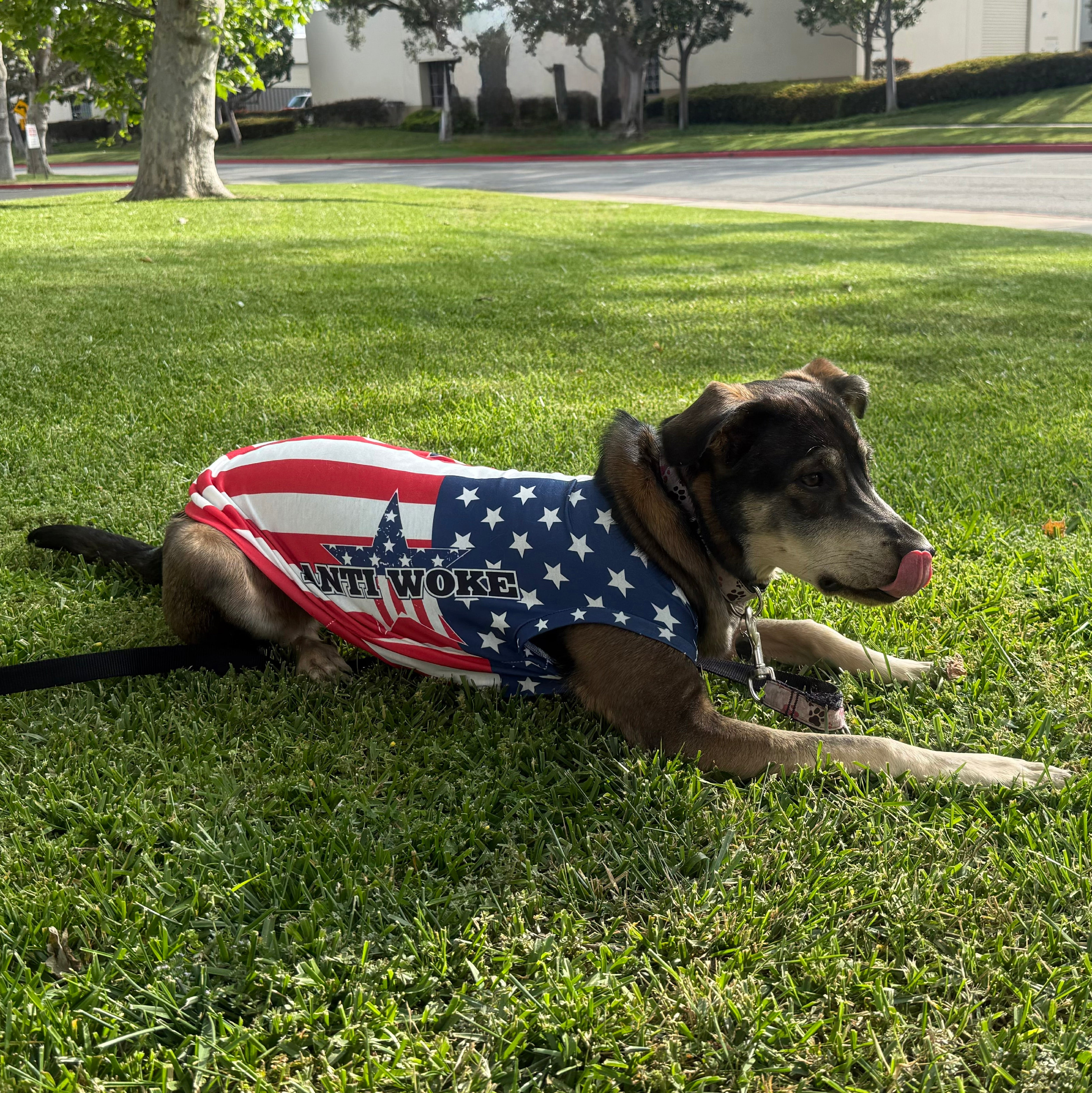 USA- Anti Woke Pets - Big Dog's Tank Top