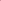 Yorkie- Pink & Pink Camo- Your Pronouns Can't Save You-Small Dog's Tank Top